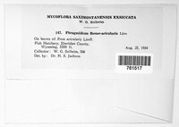 Image Associated With the Occurence